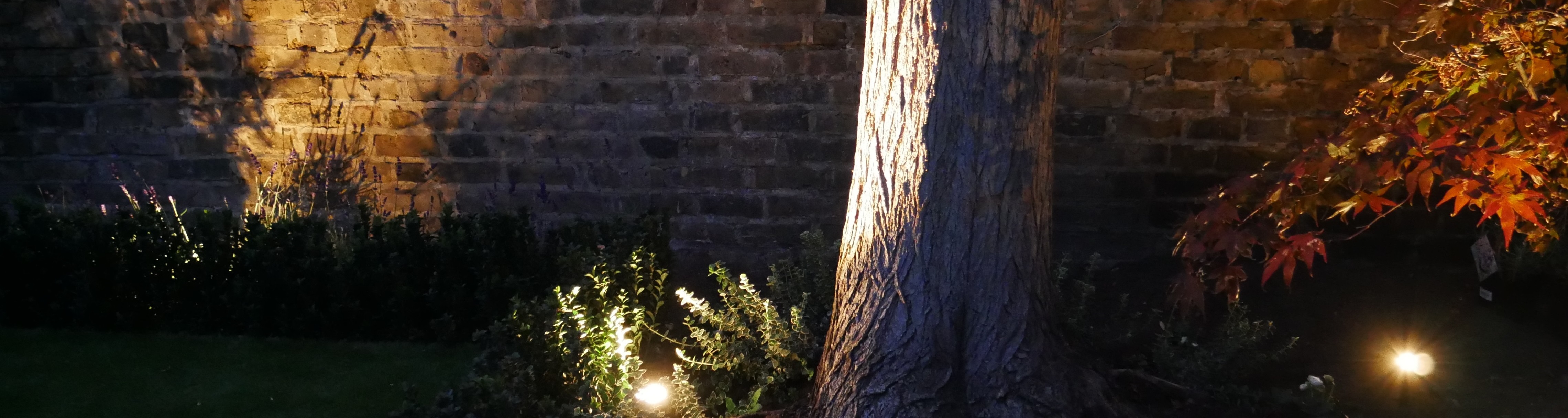 5 Expert Tips for Choosing Durable Outdoor Lighting That Lasts